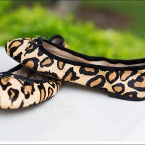 Sam Edelman Leopard Felicia Flats